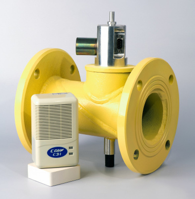 СГК-1-СН DN 50-300